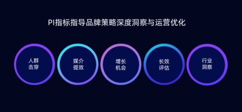 消费者资产运营新思路,品牌种草新指标