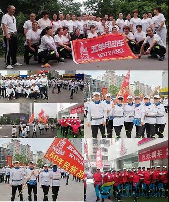 五羊大动作 工厂扩建构筑全产业链，创新模式驱动“并网销售”新篇章